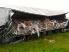 Caminhão carregado de doces tomba na Washington Luiz em Cordeirópolis 