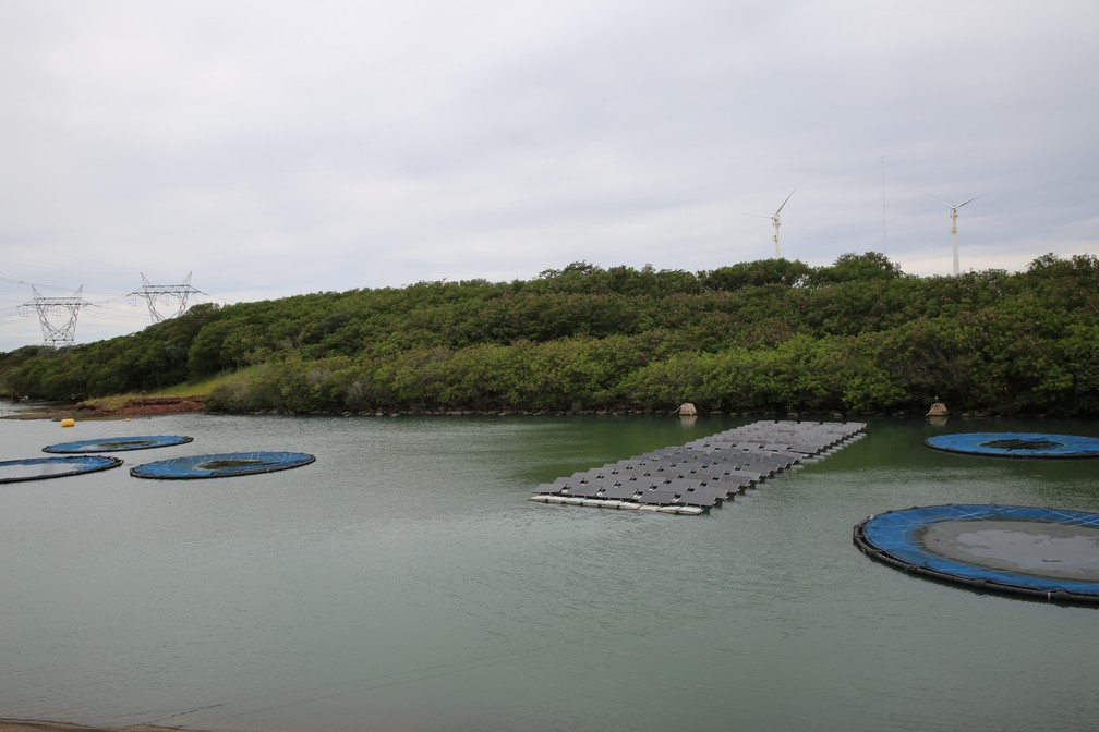 Energia eólica já está oficialmente em produção em Porto Primavera (Foto: Divulgação)