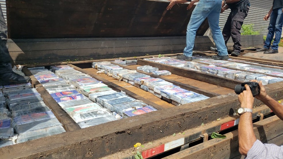 Carga de cocaína estava escondida em caminhão que fazia o transporte de frangos. — Foto: Divulgação/Polícia Civil