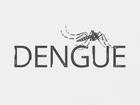 Casos de dengue aumentam 423% em PE; 26 cidades vivem epidemia