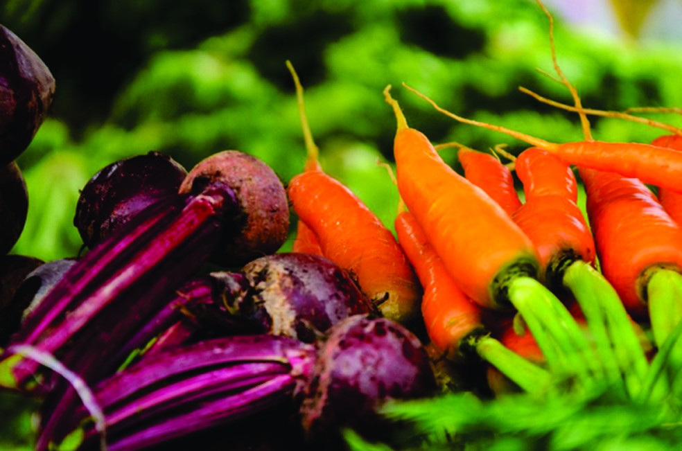 Produtos orgânicos vão ser vendidos na feira (Foto: Fotos Jansen Lube/ Secom PMS)