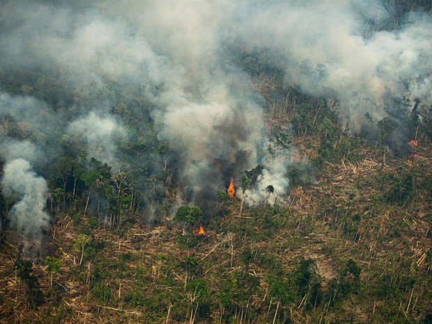 A derrubada de florestas na Amazônia aumentou de modo consecutivo desde 2018 (Foto: Christian Braga/Greenpeace)