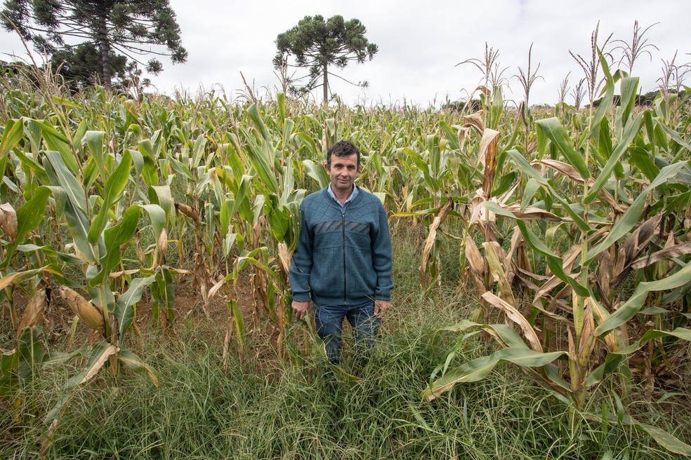 Cláudio Ramos é um dos produtores rurais de Capão Alto que teve sua lavoura atacada por javalis — Foto: Celso Tavares/G1