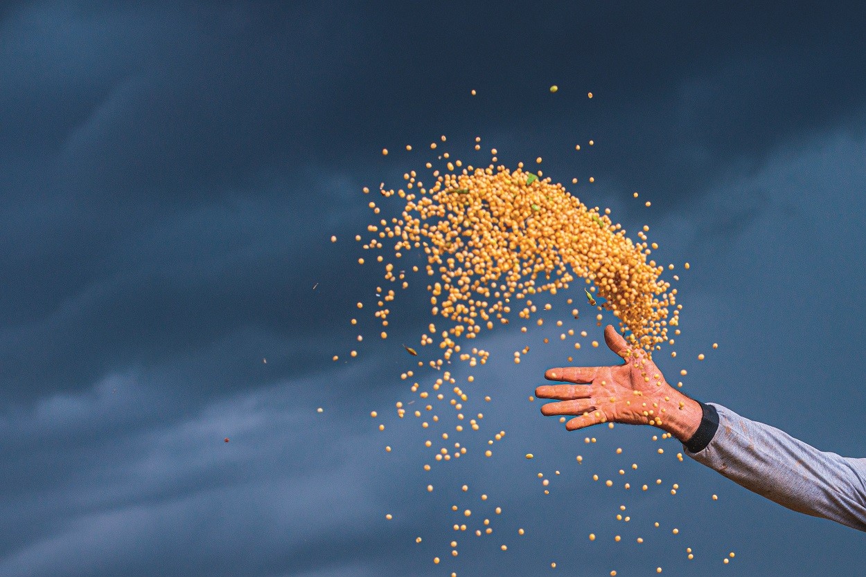 BALANÇO - Oferta e demanda de soja no mundo continuam ajustadas (Foto: Getty Images)