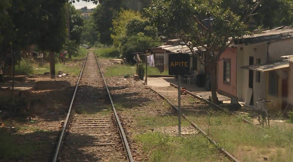 Condições de malha precária impedem velocidades acima de 40 km/h do trem durante viagem teste entre São Paulo e Campinas — Foto: Reprodução/EPTV