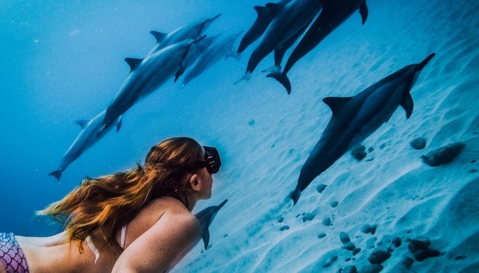 A foto de mergulho se torna mais realista com os golfinhos no fundo. (Foto: Divulgação/GoPro)