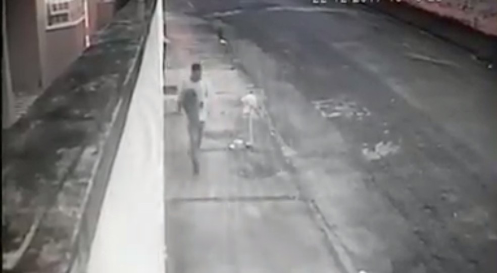 Criminoso foge levando cadela escondida em blusa em Itapetininga (Foto: Reprodução/Câmera de segurança)