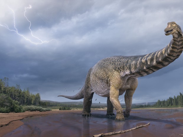 Acima, representação artística do Australotitan cooperensis ou "Cooper", o maior dinossauro já descoberto na Austrália (Foto: Vlad Konstantinov/Museu de História Natural Eromanga)
