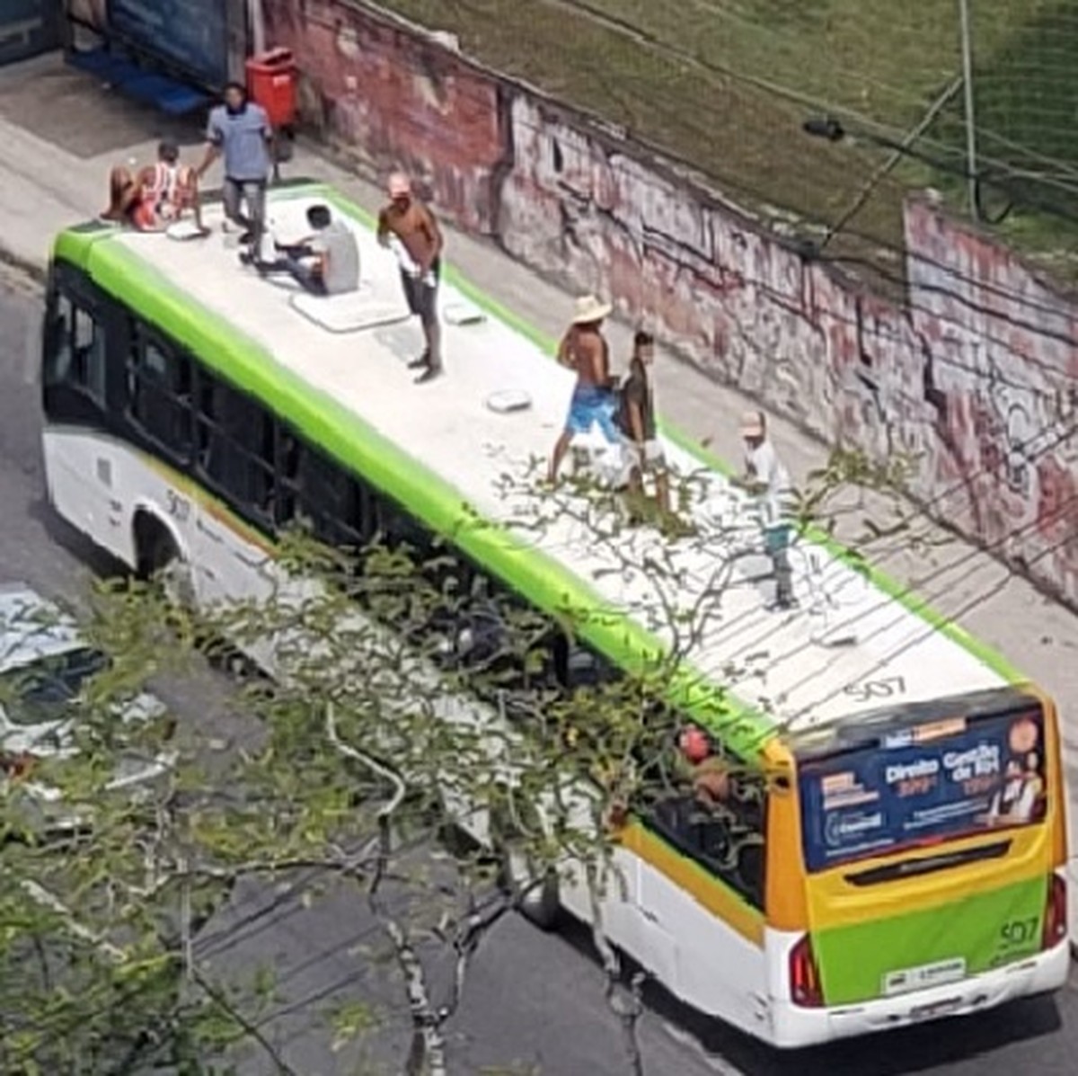 Sete jovens são flagrados 'surfando' em cima de um ônibus na Zona Norte do  Recife | Pernambuco | G1