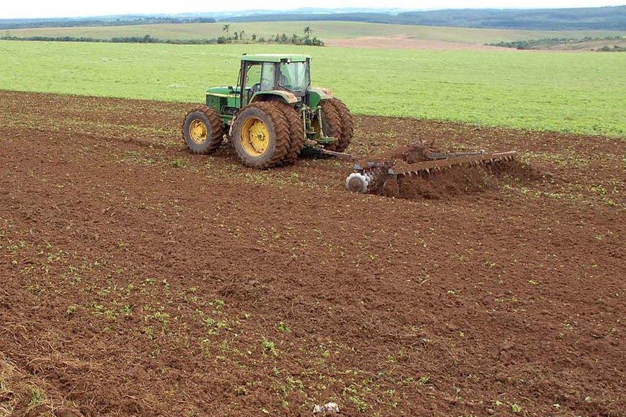 Plantio de soja em lavoura no Paraná (Foto: Arquivo AEN)