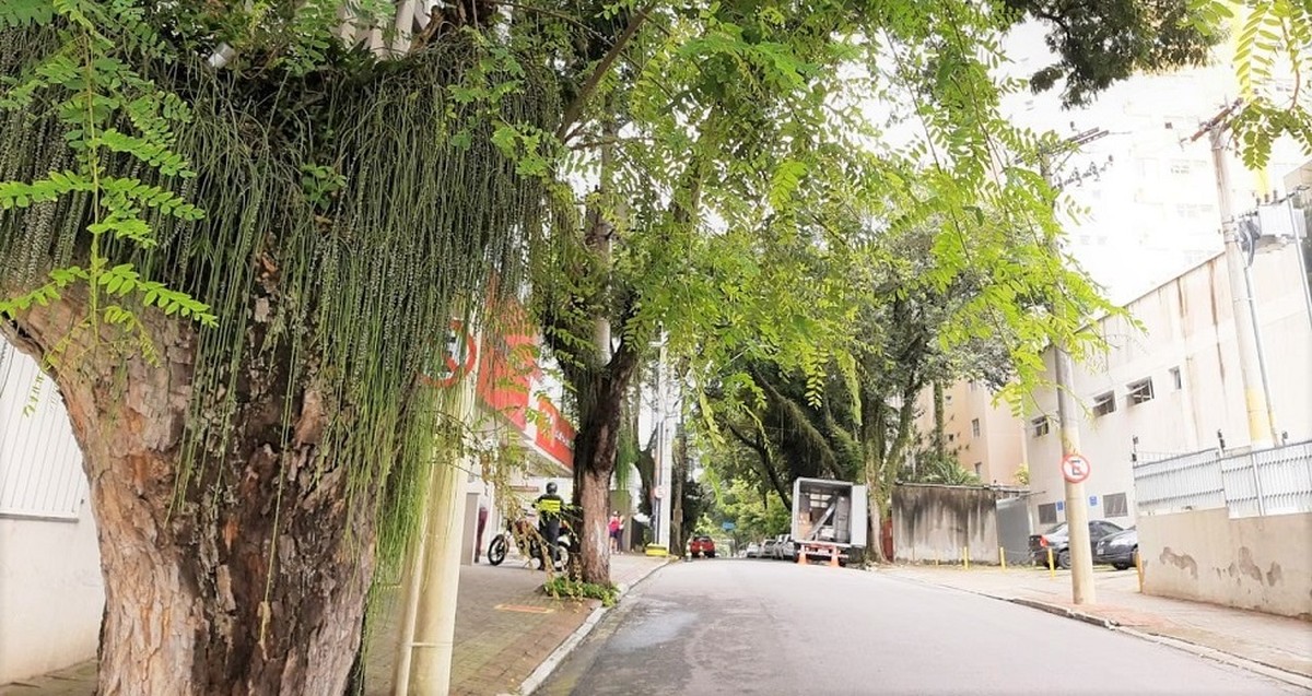 Rua Euclides Miragaia será interditada neste domingo em São José dos ...