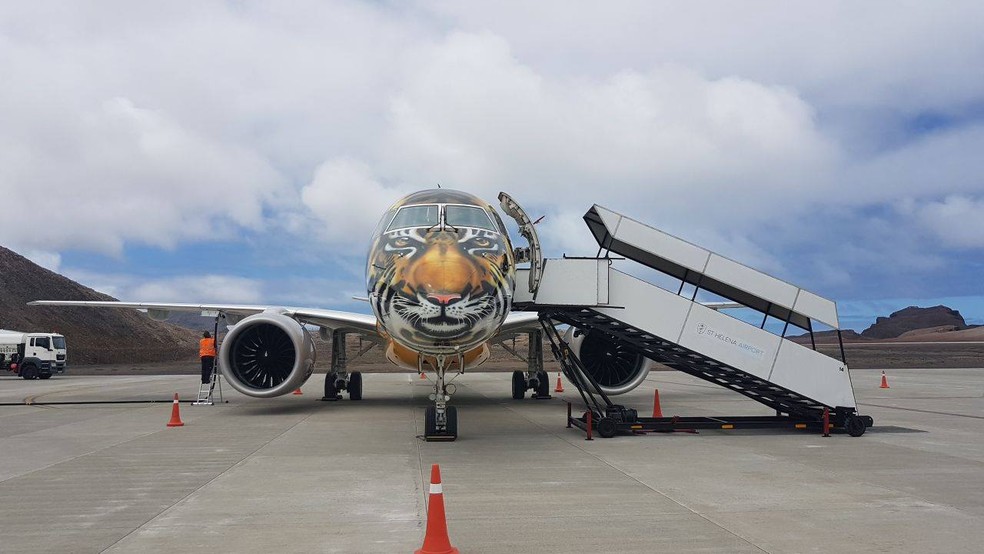 Pintura de tigre simboliza os tigres asiáticos (Foto: Embraer/Divulgação)