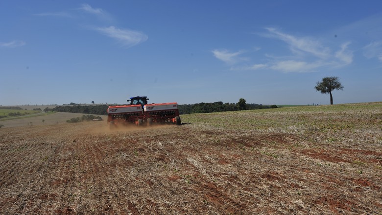 campo-agro-agronegócio-fazenda-lavoura-interior-propriedade-rural (Foto: Ernesto de Souza/ Ed. Globo)