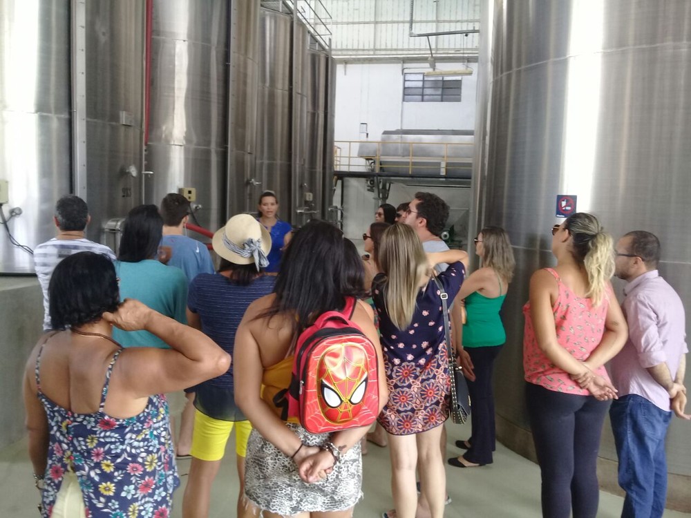 O visitante conhece a fábrica onde os vinhos e espumantes são produzidos (Foto: Sirley Sá / Arquivo pessoal )