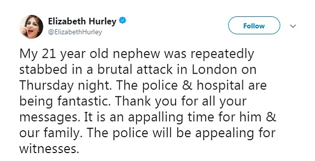 A mensagem na qual a atriz Elizabeth Hurley revelou que seu sobrinho foi esfaqueado (Foto: Twitter)