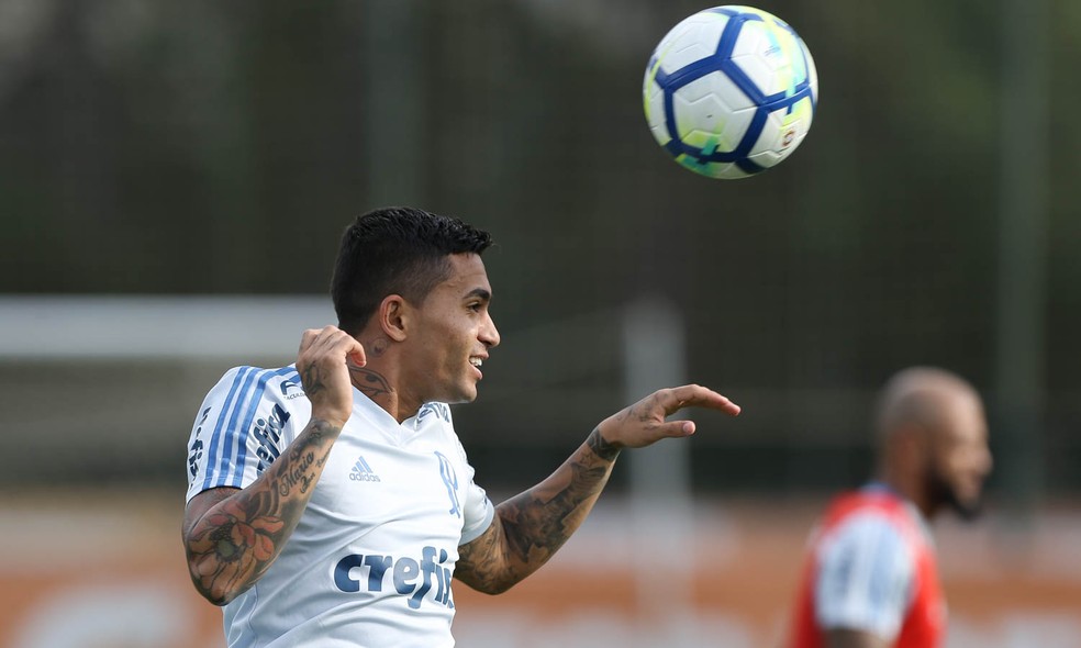 Dudu pede foco do Palmeiras no Brasileirão: tem Ceará pela frente no domingo — Foto: Cesar Greco/Agência Palmeiras