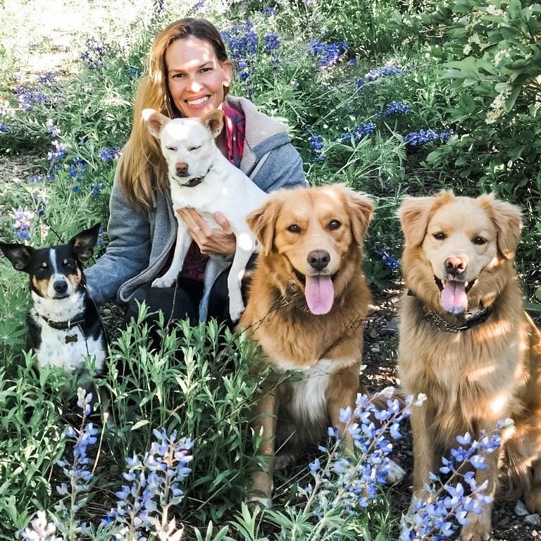 A atriz postou uma foto com seus cãezinhos no Dia Internacional dos Cachorros, nos Estados Unidos, 26 de agosto (Foto: Instagram / @hilaryswank / Reprodução)