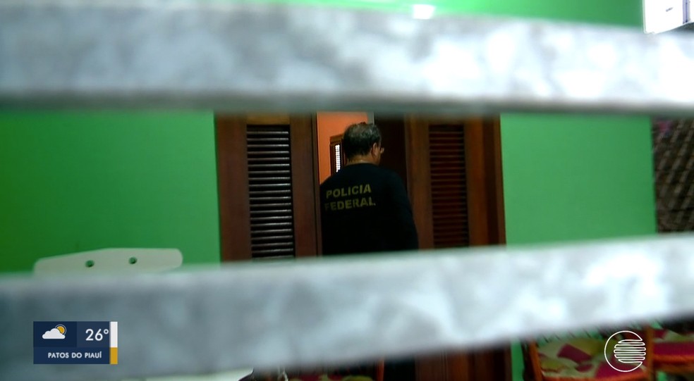 PF deflagra operação contra organização criminosa responsável pelo comércio ilegal de madeira — Foto: Reprodução/TV Clube