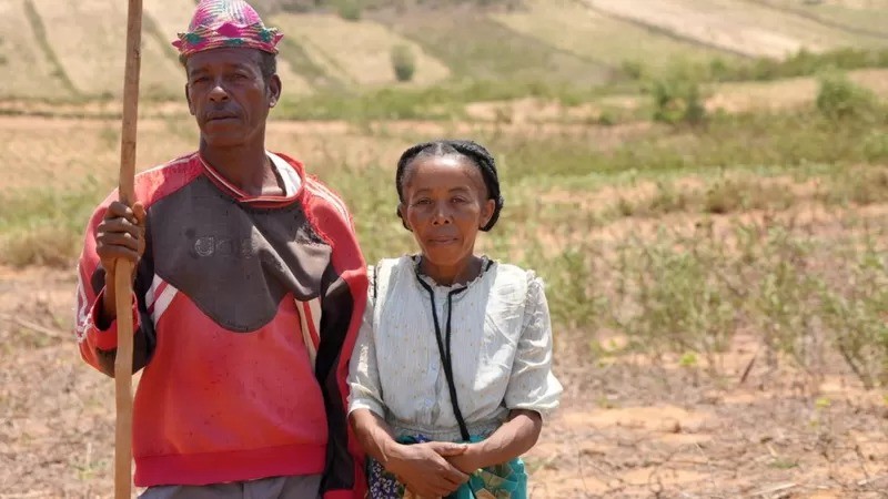 Loharano e seu marido Mandilimana transformaram sua forma de cultivo (Foto: SIRA THIERIJ/BBC)