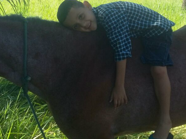 G1 - Cavalo usado no tratamento de autista é achado após apelo de