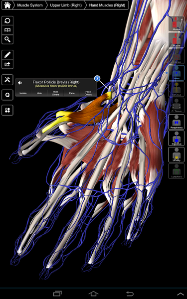 essential anatomy 3 download