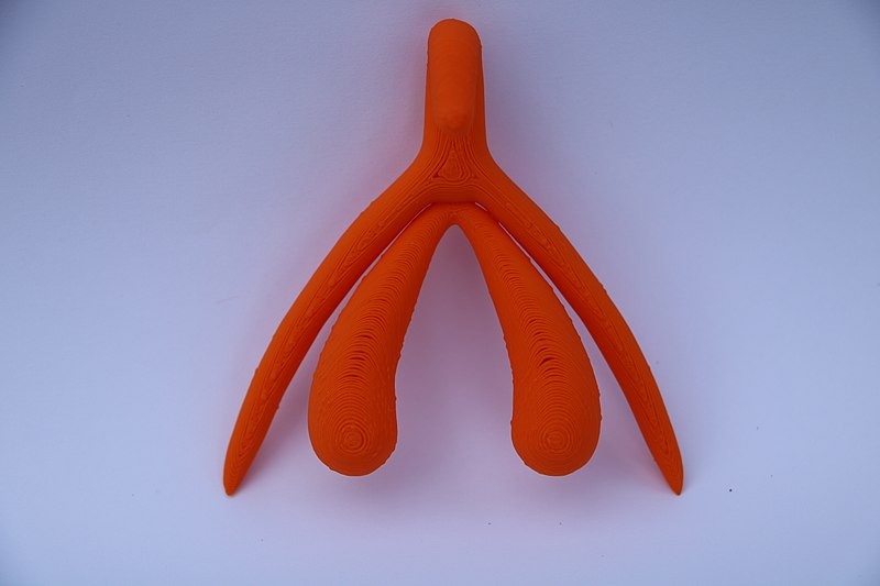 Modelo 3D do clitóris, órgão do aparelho genital feminino (Foto: Doulcemarie/Wikimmedia Commons)