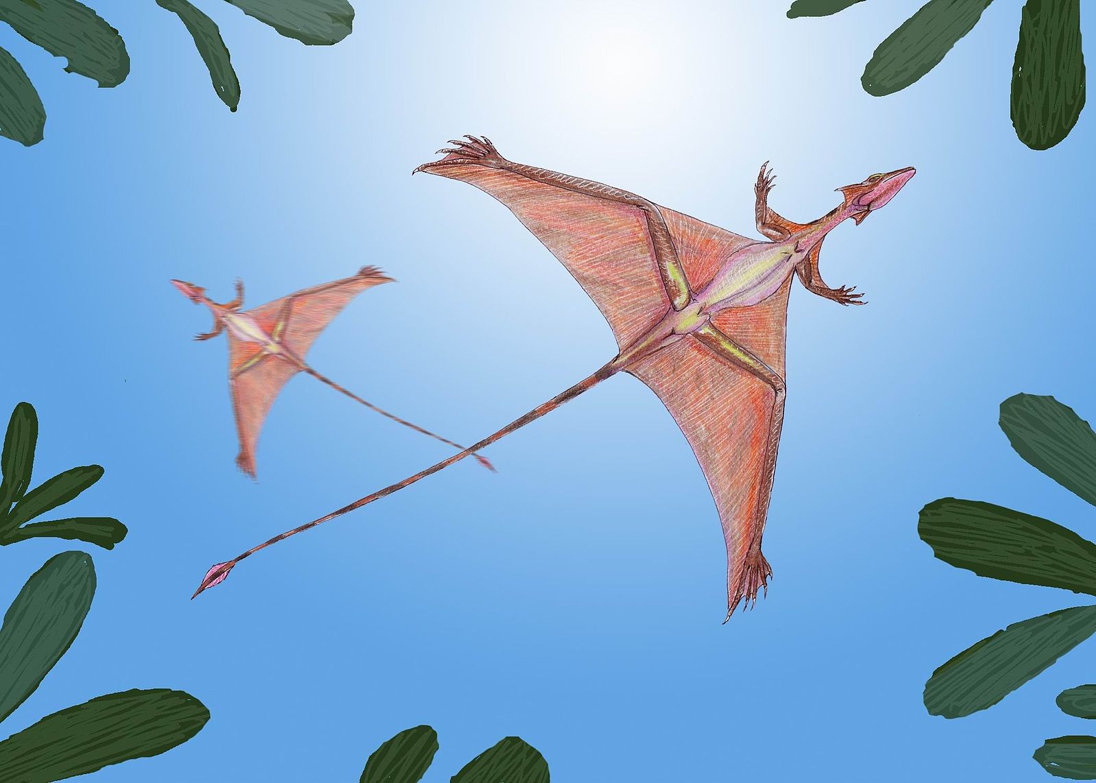 Reconstrução gráfica do Sharovipteryx mirabilis (Foto: Dmitry Bogdanov/ Wikimedia Commons/ CreativeCommons)
