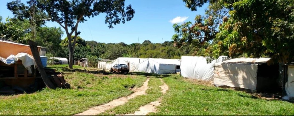 Homens Sao Presos Por Invasao De Fazenda Da Uniao E Venda Ilegal De Lotes Da Propriedade Em Mt Mato Grosso G1
