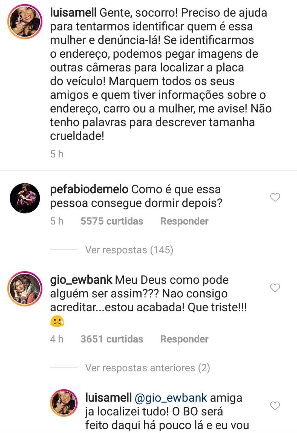 Artistas se posicionaram sobre o atropelamento dos cachorros em São Luís (Foto: Reprodução/Instagram)
