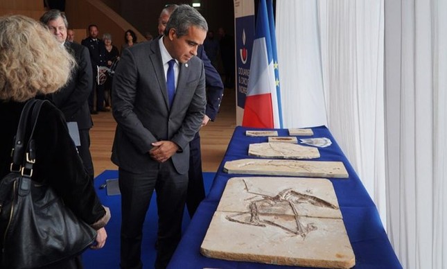 Fósseis apreendidos na França serão repatriados ao Brasil