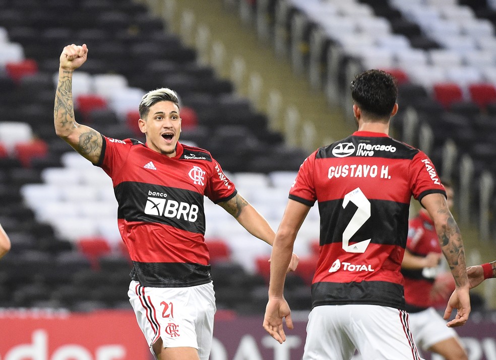 Pedro e Gustavo Henrique comemoram gol do Flamengo contra a LDU — Foto: André Durão