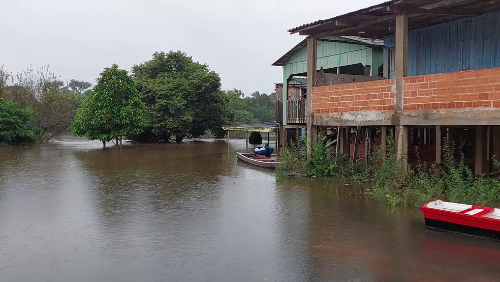 Quinta-feira, 23 de março de 2023: cheia do rio Machado em Ji-Paraná — Foto: Reprodução/Rede Amazônica