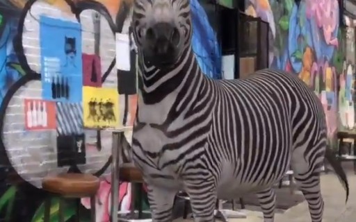 Grave vídeos com os animais 3D de realidade aumentada do Google