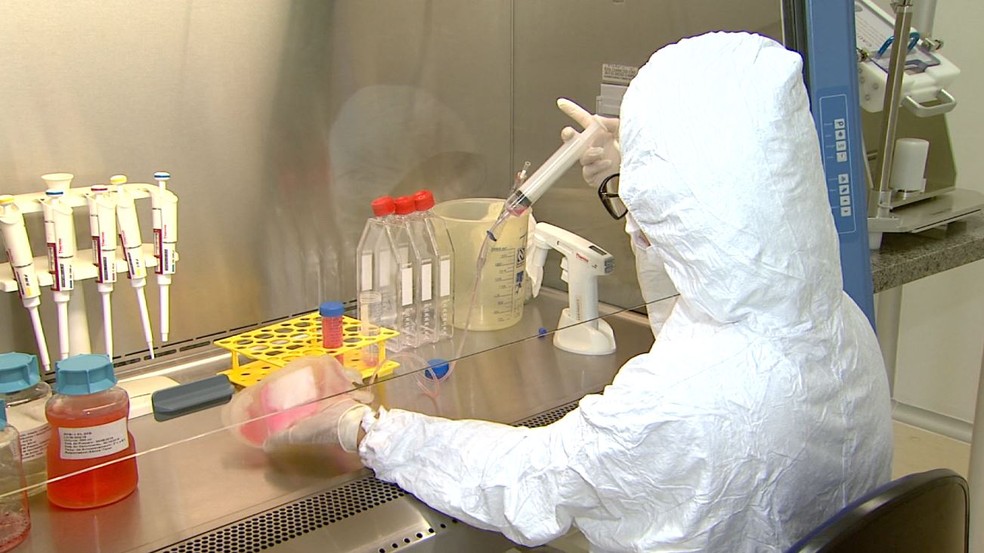 Cientistas da USP e Fiocruz pesquisam anticorpos para vacina contra Covid-19 em Ribeirão Preto (SP) — Foto: Reprodução/EPTV