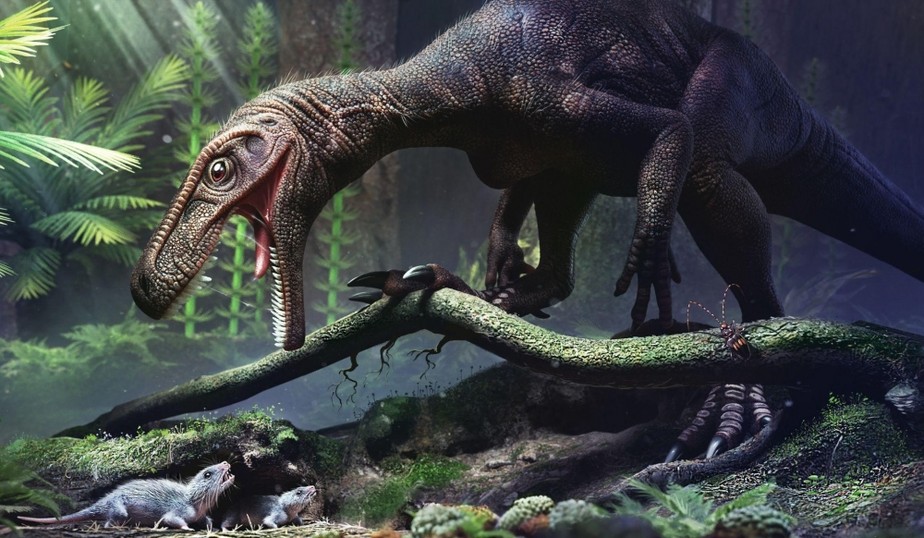'Gnathovorax cabreirai' foi um herrerasaurídeo, linhagem extinta pouco depois do período em que viveu. Foi descoberto em São João do Polêsine (RS).