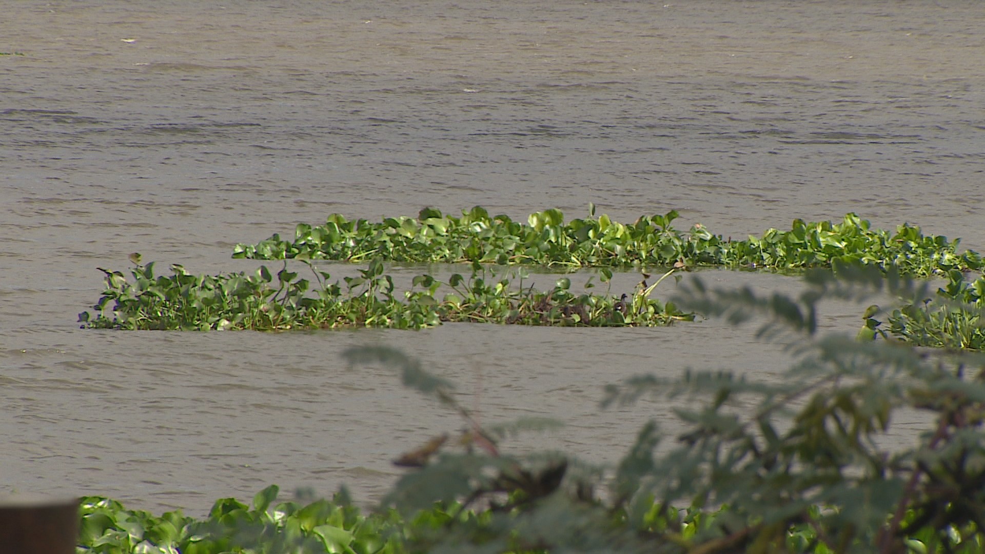 Mau cheiro e gosto ruim na água de Porto Alegre estão relacionados às condições climáticas, diz DMAE