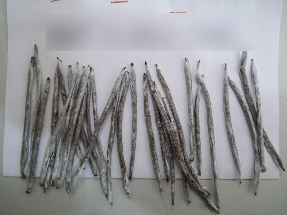 Maconha estava dentro de tubos de pasta de dente (Foto: SAP)