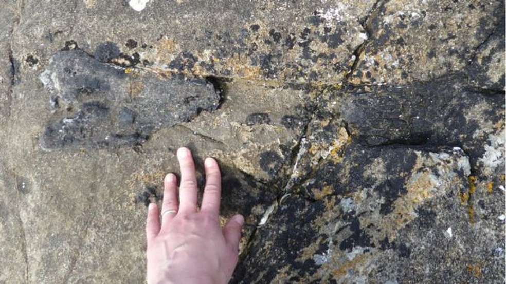 Fóssil foi encontrado na costa em Eigg, uma pequena ilha da Escócia — Foto: E. Pancirolli/BBC