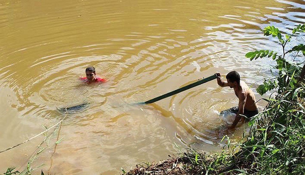 De acordo com carroceiro, a queda no Rio Muriaé aconteceu após animal se assustar  (Foto: Site Silvan Alves/Divulgação )