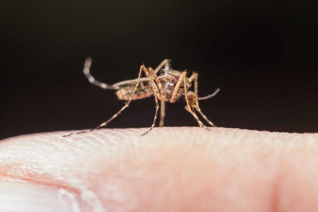 Rondônia registra mais de 2 mil casos de malária nos primeiros meses de 2023