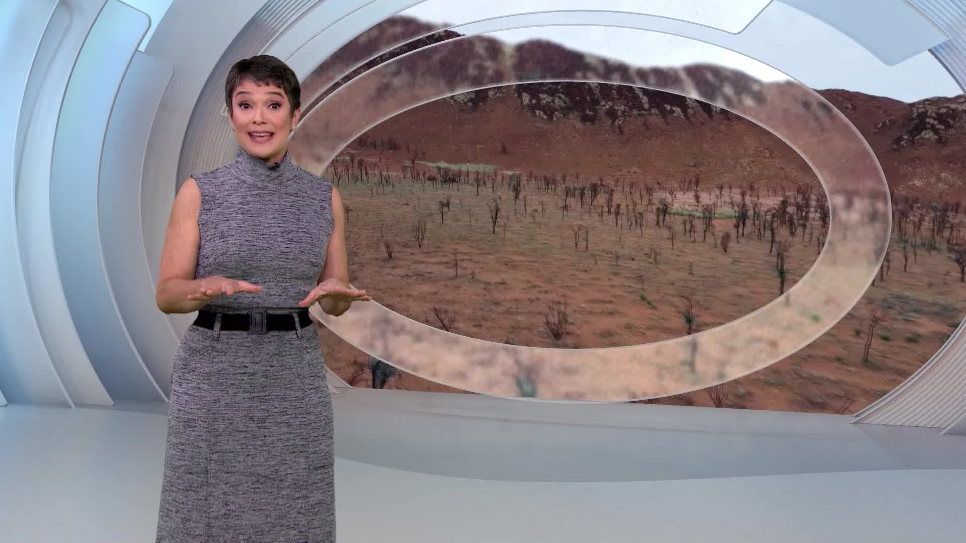 VÍDEOS: Globo Repórter viaja até Austrália e revela segredos de uma das regiões menos habitadas do planeta com suas belezas e contrastes 