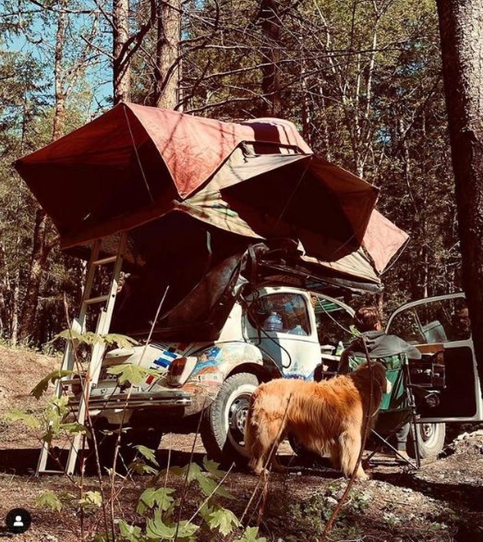 Dupla estava acampada em Oregon no final de semana — Foto: Reprodução