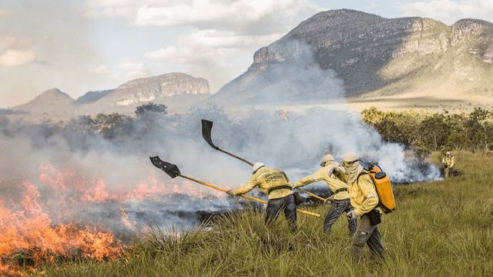 Brigadistas contêm as chamas durante queima controlada no Parque Nacional da Chapada dos Veadeiros, em Goiás — Foto: FERNANDO TATAGIBA/ICMBIO