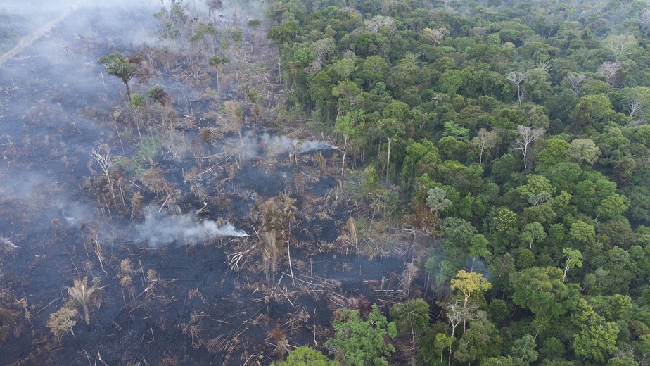 Área de floresta queimada em Candeias do Jamari (RO)