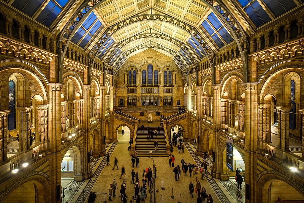 Exposição de Darwin em Londres será revista porque pode ser ofensiva (Foto: Wikimedia commons)