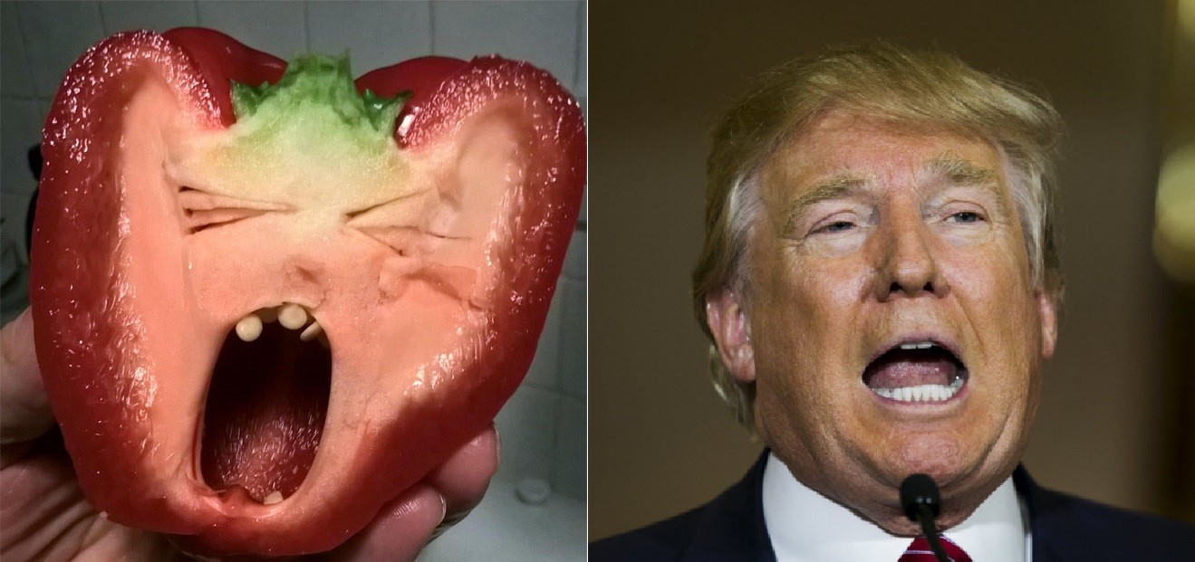 Trump e o pimentão: parecidos?