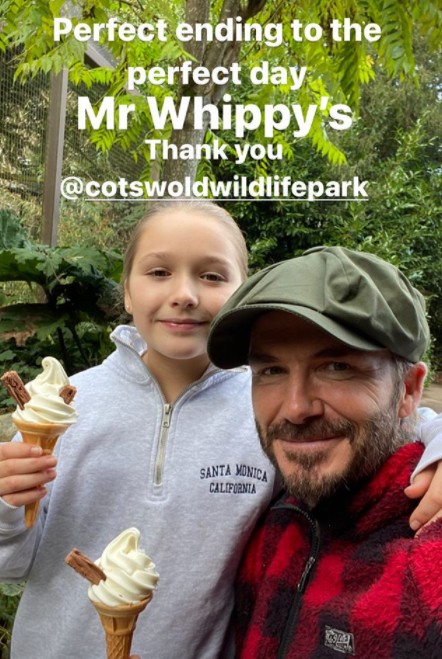 David Beckham com sua filha de 9 anos, Harper (Foto: Reprodução / Instagram)