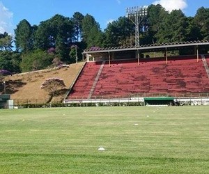 Treino Tupi-MG Estádio Municipal Mário Helênio Juiz de Fora (Foto: Bruno Ribeiro)