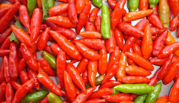 Pimenta Chili: o composto Capsaicina que dá o sabor ácido da pimenta, pode combater diabetes, câncer e até ajudar na perda de peso (Foto: Divulgação)