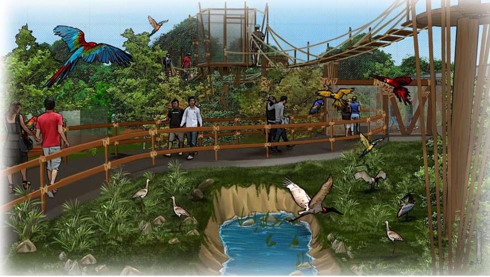 Ilustração mostra nova atração do Zoo Rio (Foto: Divulgação)